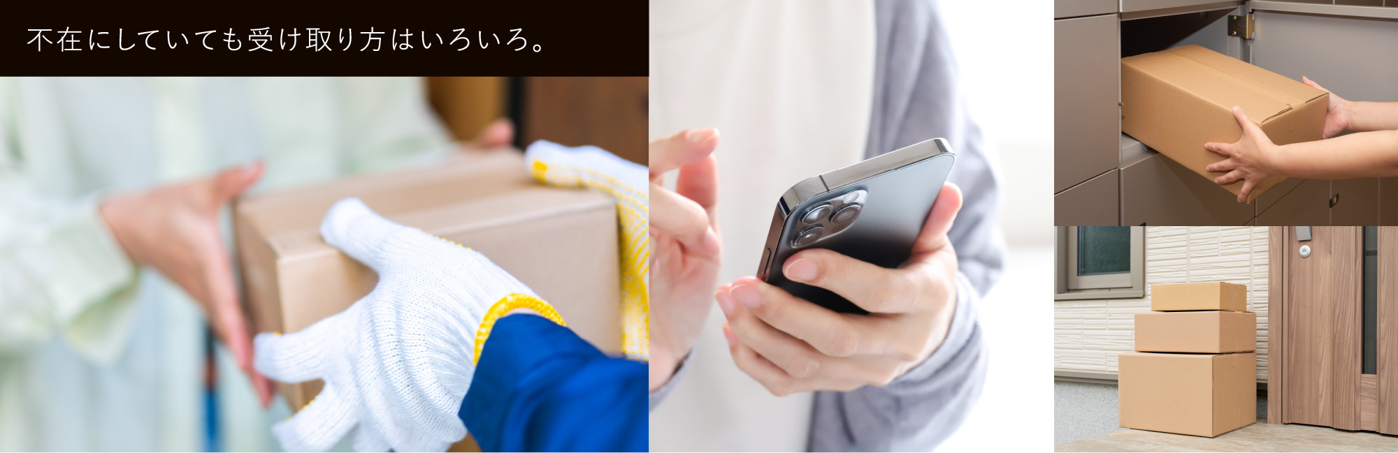 イベント情報